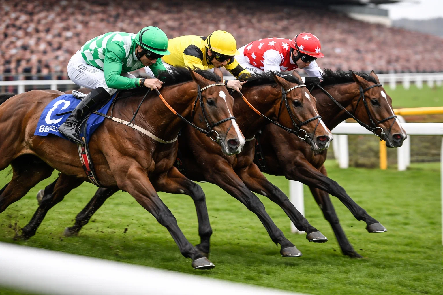 Cheltenham each way offers extra places 2026